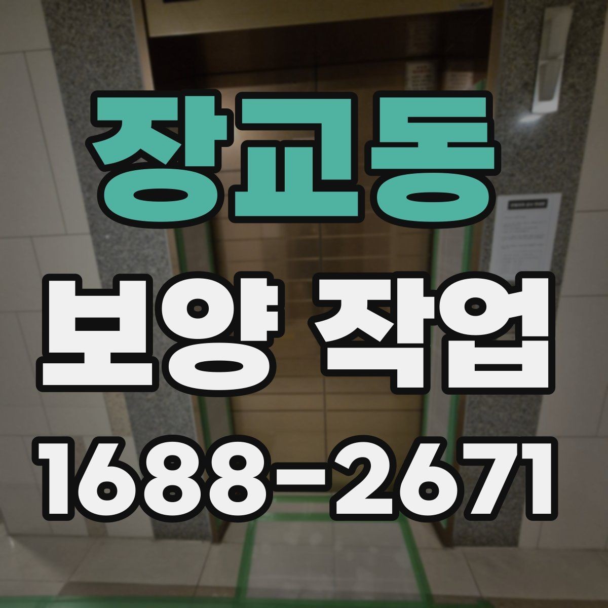 장교동 보양 작업 후 마무리와 점검 방법
