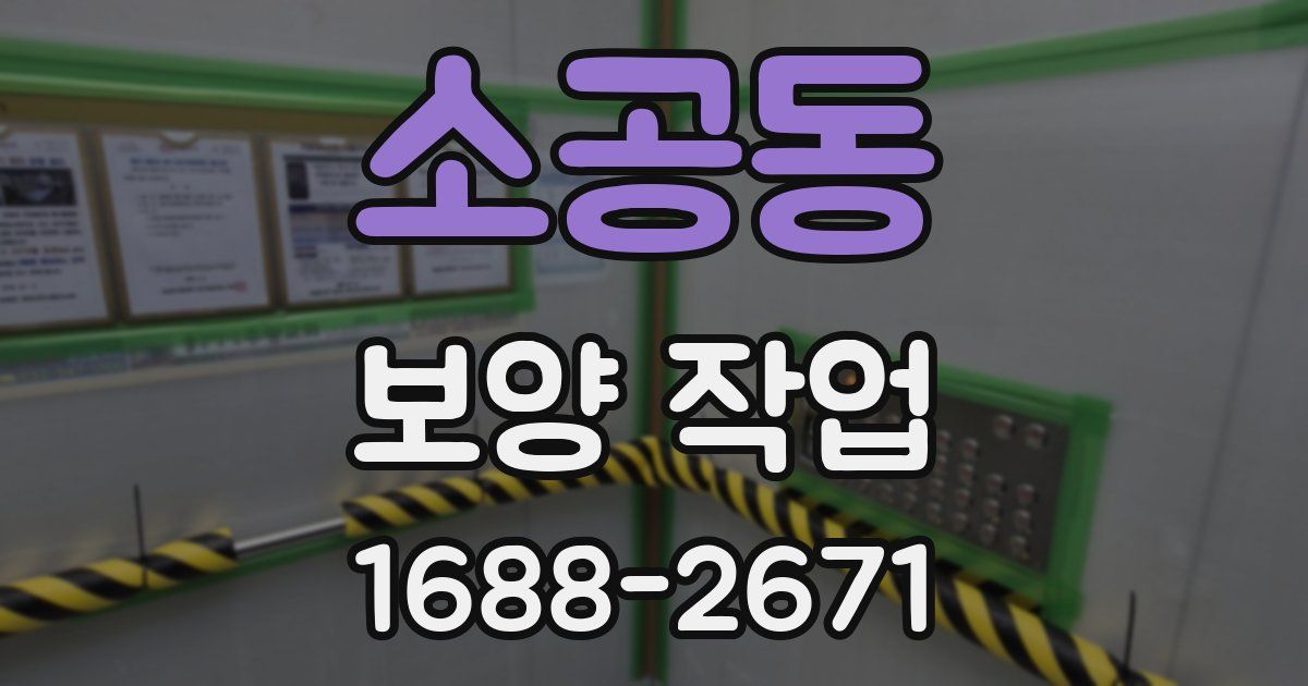 소공동 보양 작업