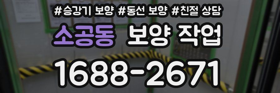 소공동 보양 작업