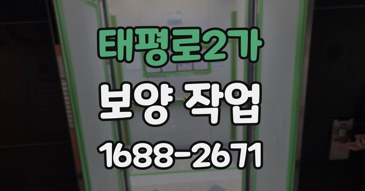 태평로2가 보양 작업