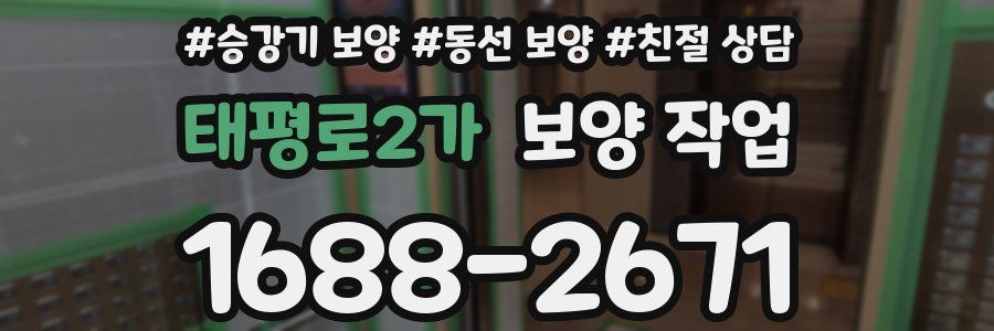 태평로2가 보양 작업