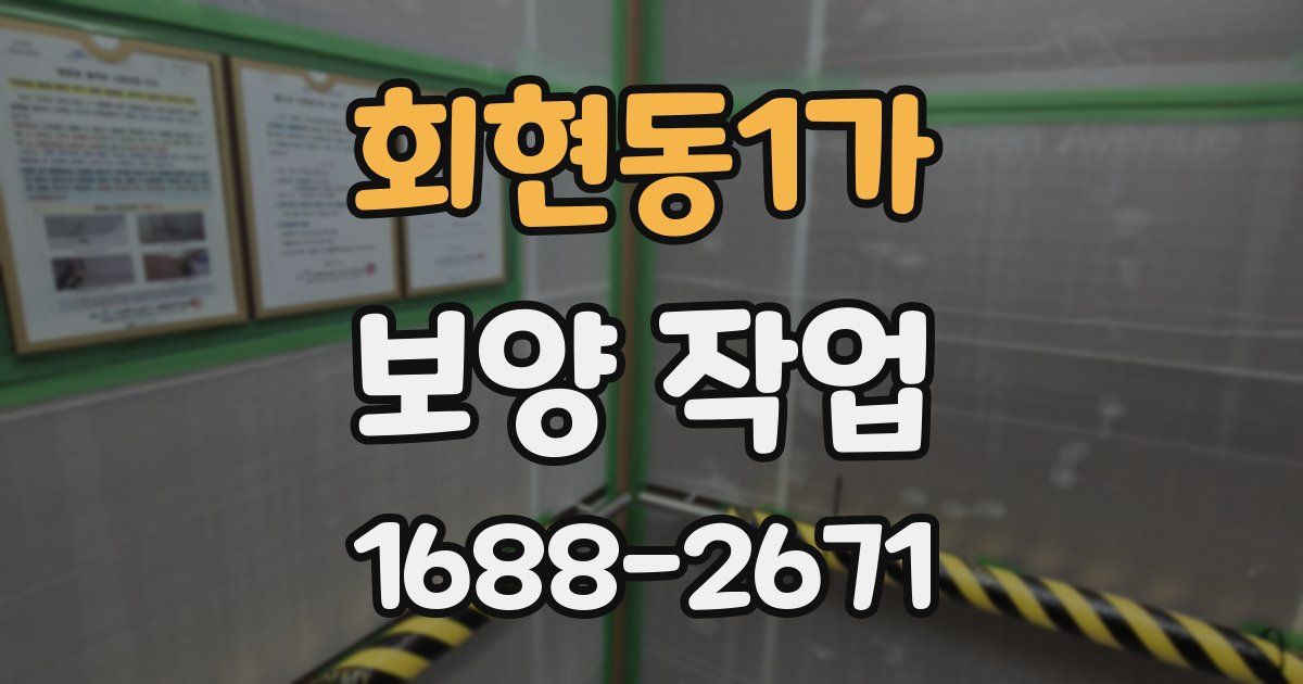 회현동1가 보양 작업