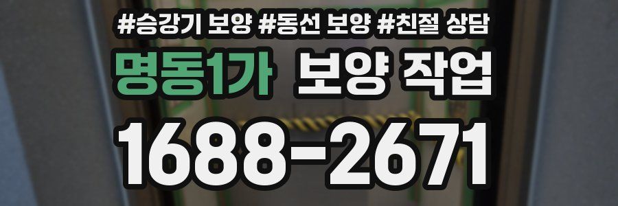 명동1가 보양 작업