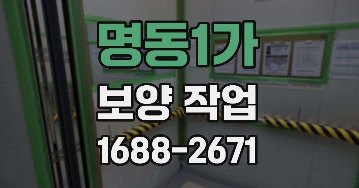 명동1가 보양 작업