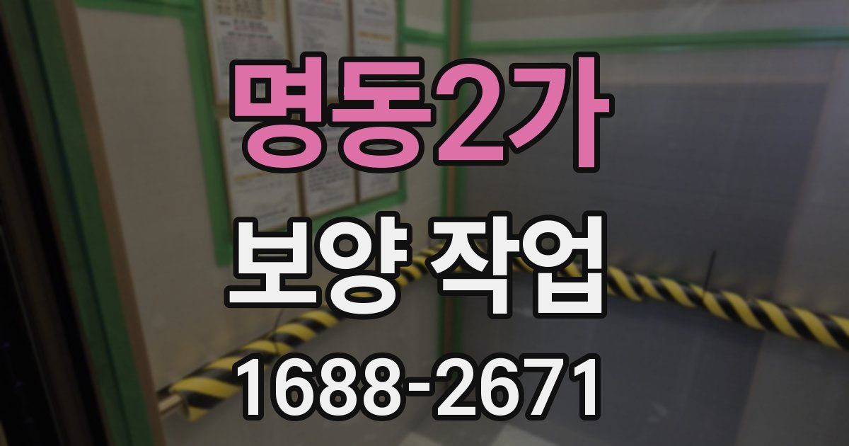 명동2가 보양 작업