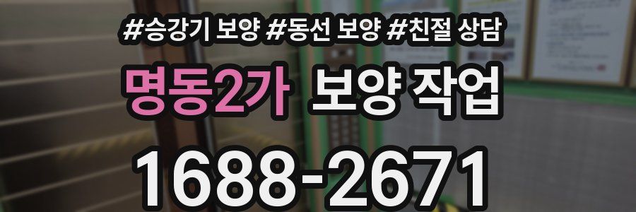 명동2가 보양 작업