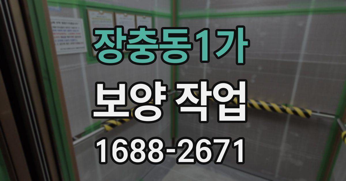장충동1가 보양 작업