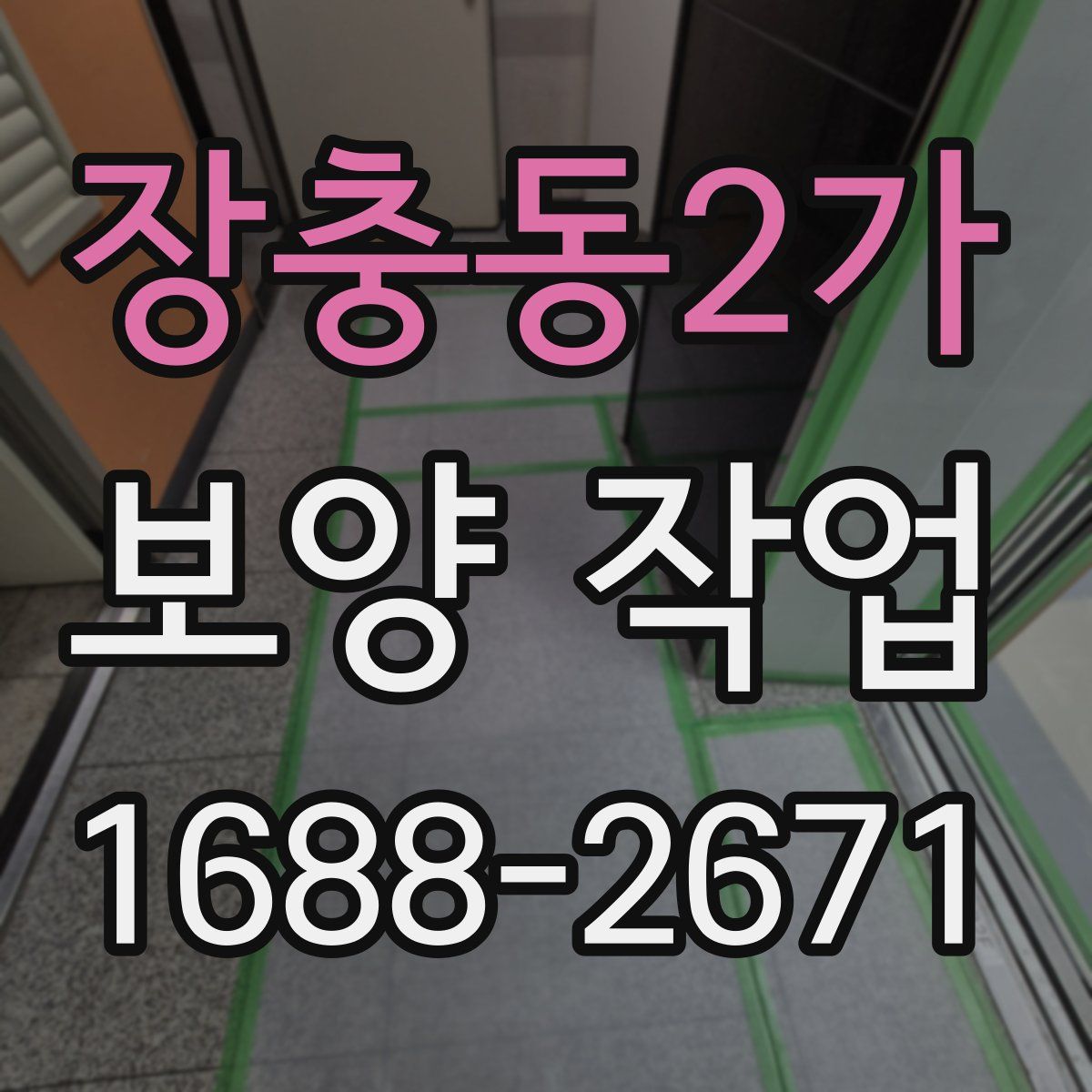 장충동2가 보양 작업