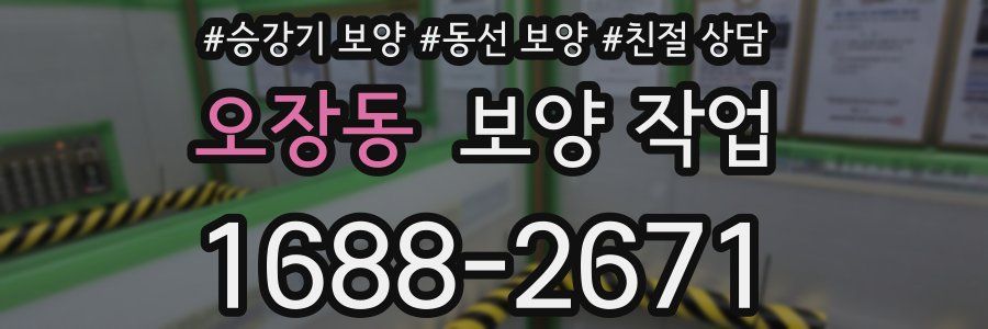 오장동 보양 작업