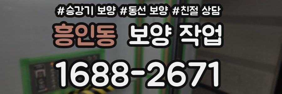 흥인동 보양 작업
