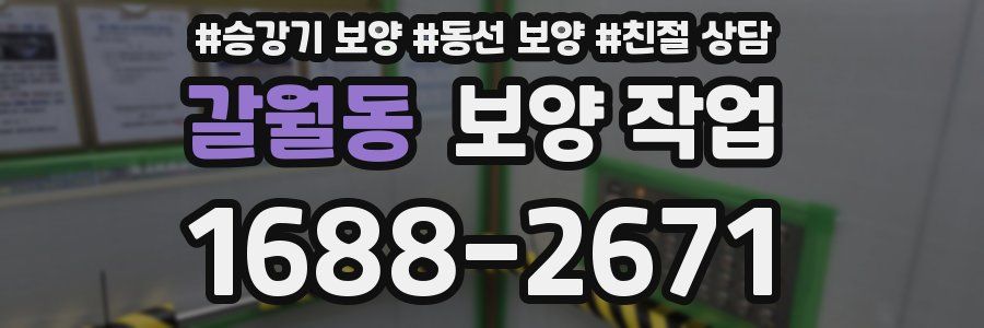 갈월동 보양 작업