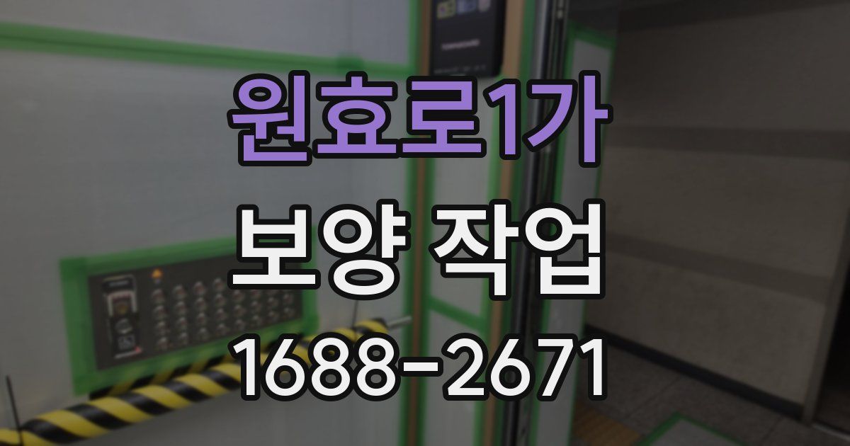 원효로1가 보양 작업