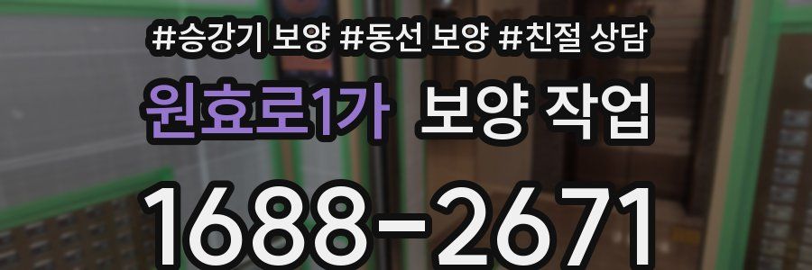 원효로1가 보양 작업