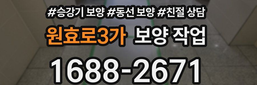 원효로3가 보양 작업