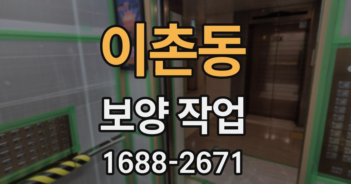 이촌동 보양 작업