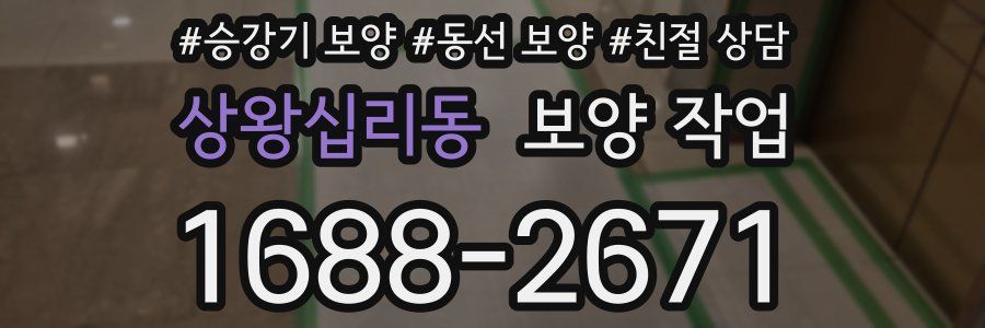 상왕십리동 보양 작업