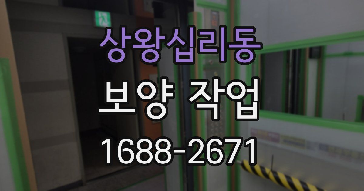 상왕십리동 보양 작업