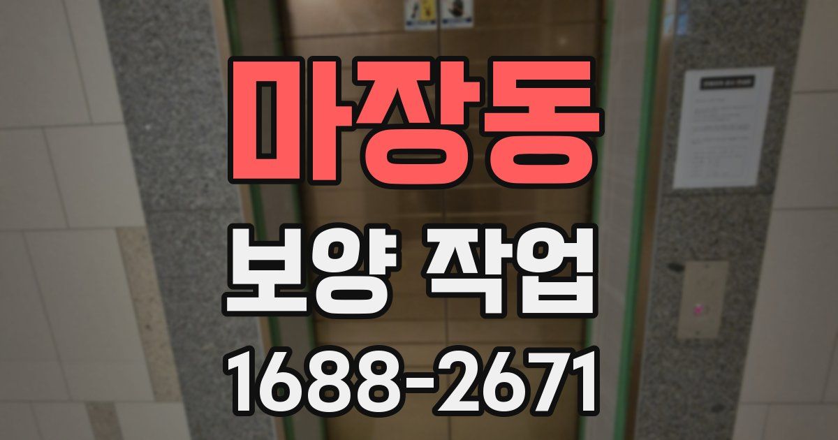 마장동 보양 작업