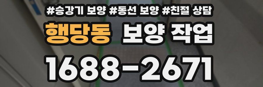 행당동 보양 작업