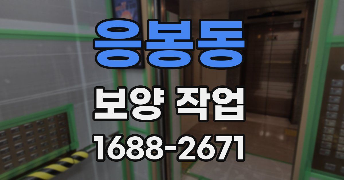 응봉동 보양 작업
