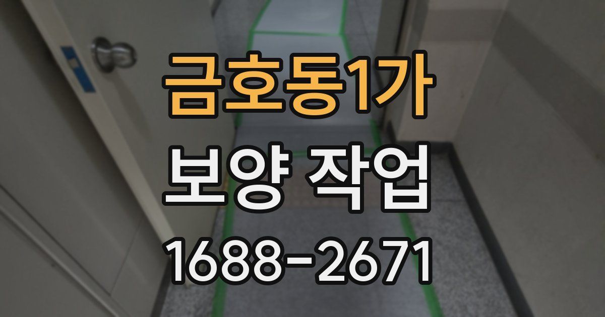 금호동1가 보양 작업