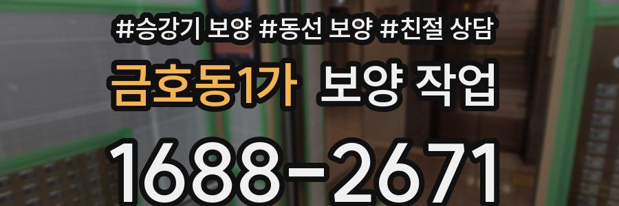 금호동1가 보양 작업