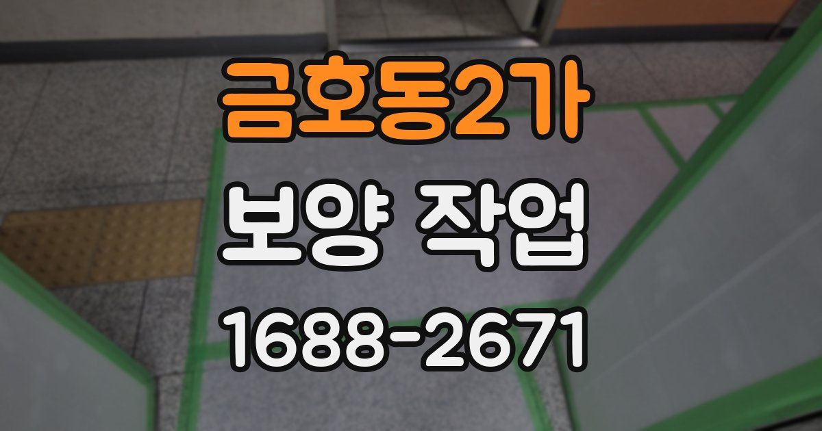 금호동2가 보양 작업