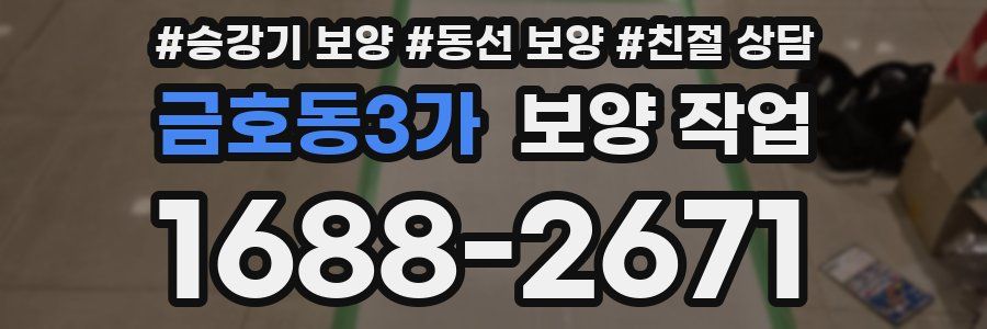 금호동3가 보양 작업