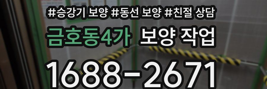 금호동4가 보양 작업