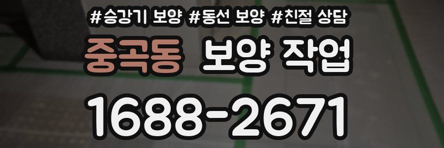 중곡동 보양 작업