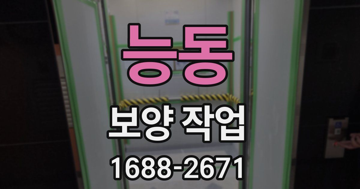 능동 보양 작업
