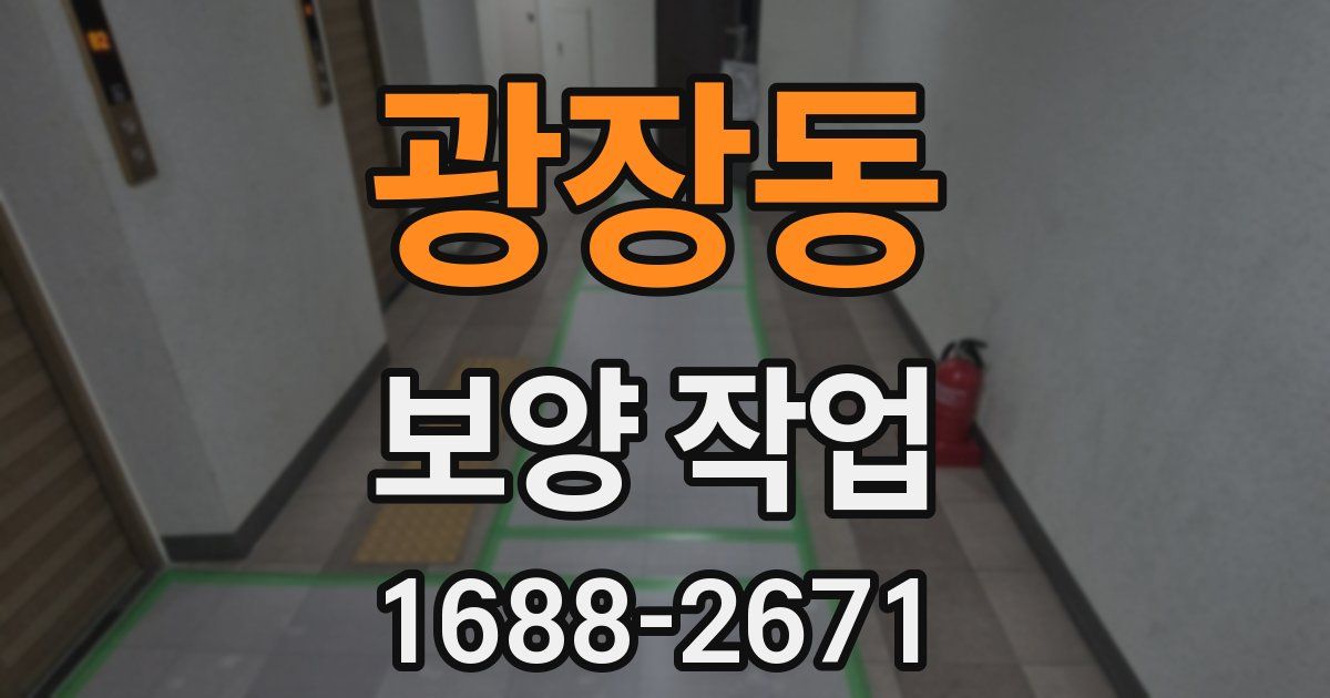 광장동 보양 작업