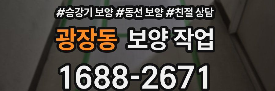 광장동 보양 작업
