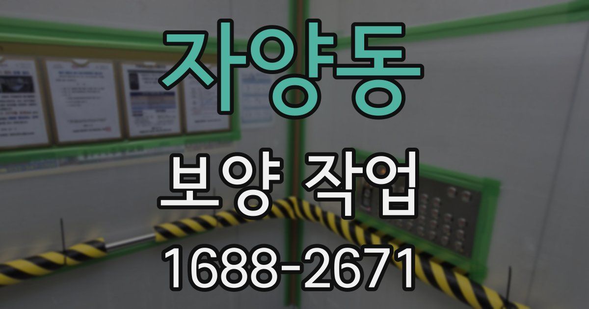 자양동 보양 작업