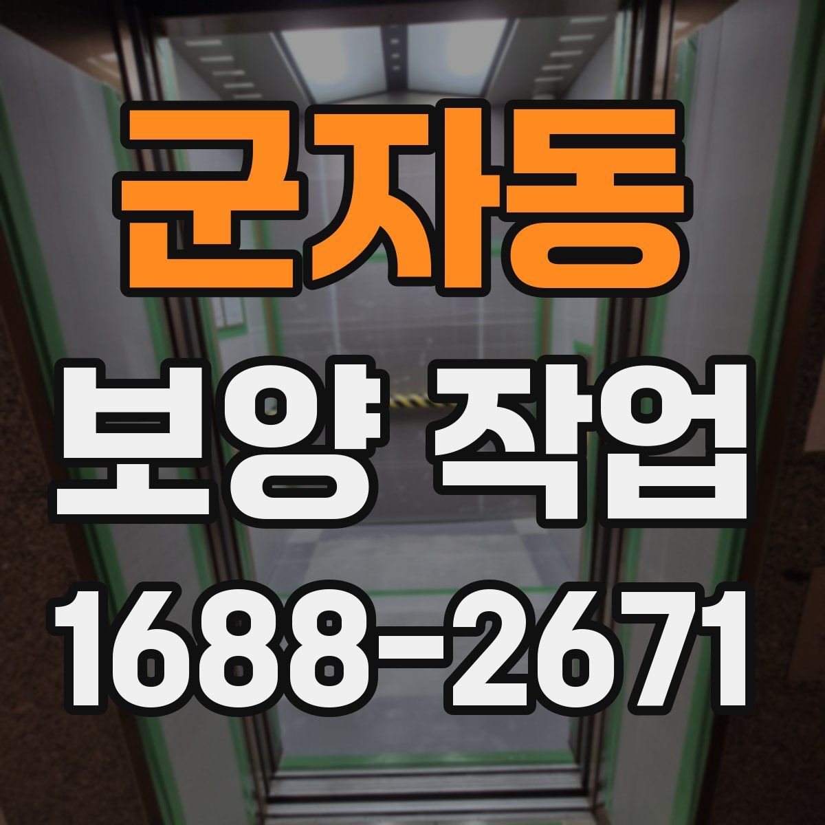 군자동 보양 작업