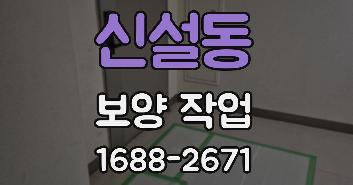 신설동 보양 작업