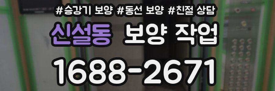 신설동 보양 작업