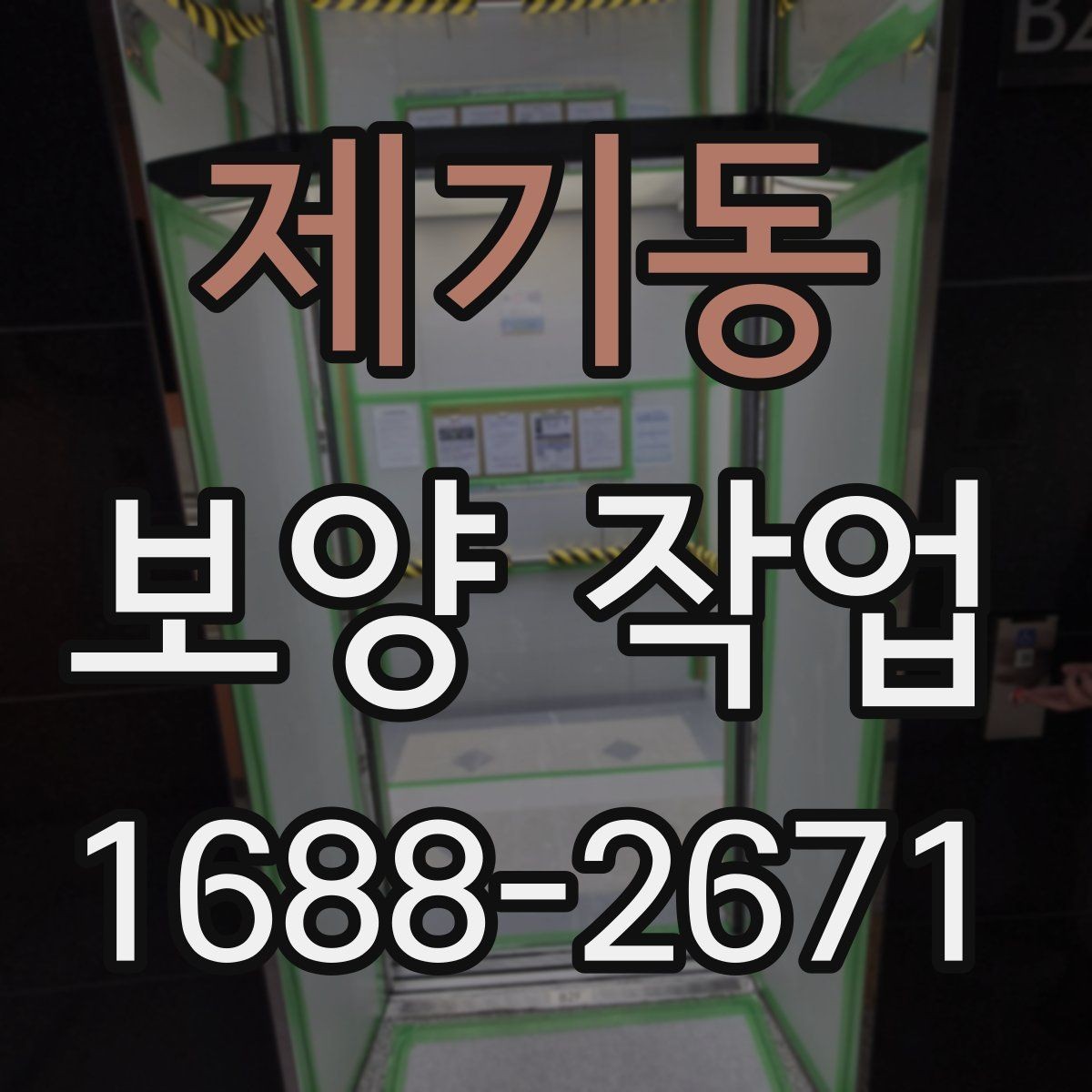 제기동 보양 작업 시 주의 포인트과 관리 방법