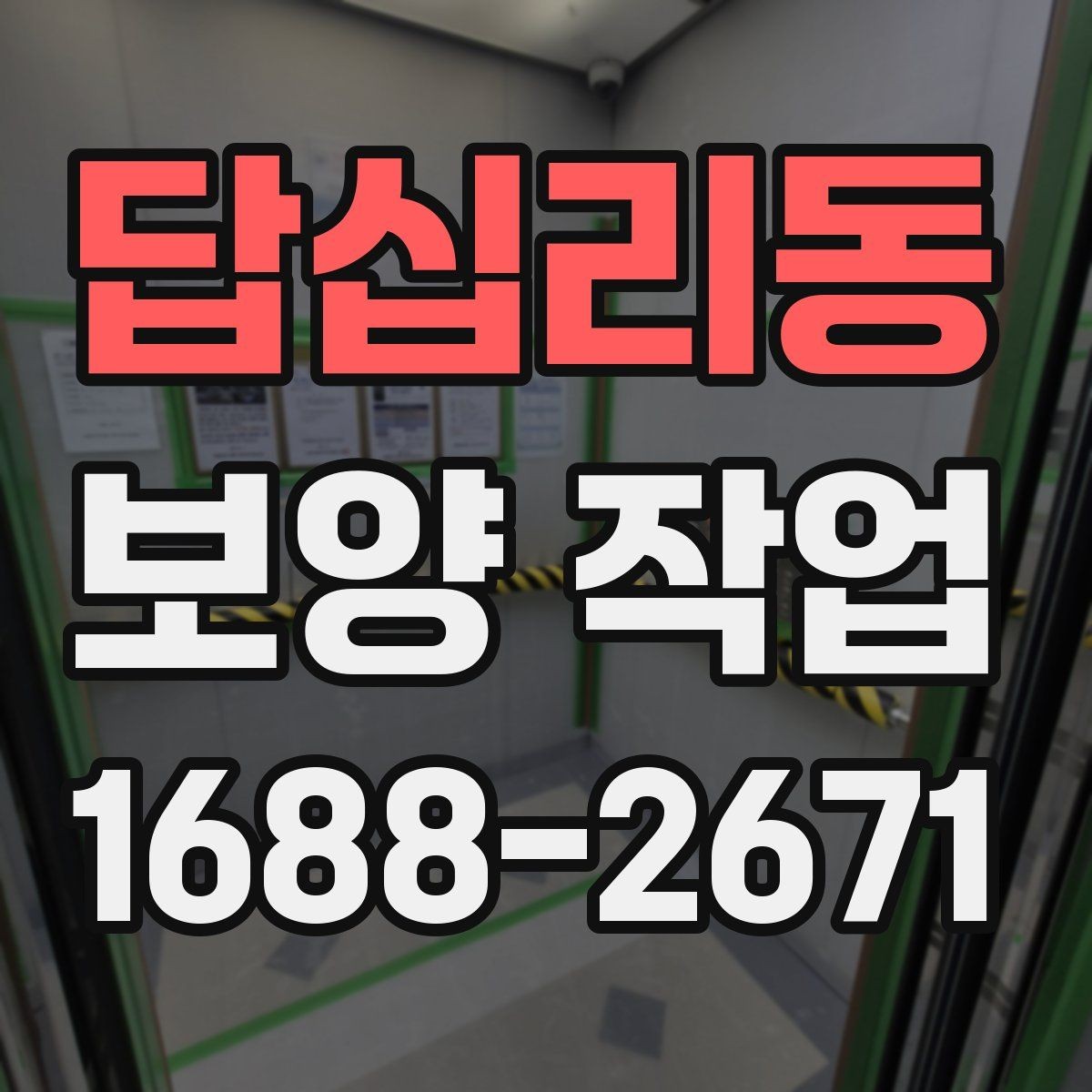 답십리동 보양 작업 현장 보호를 위한 보양 자재 배치 요령
