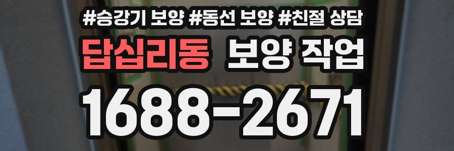 답십리동 보양 작업