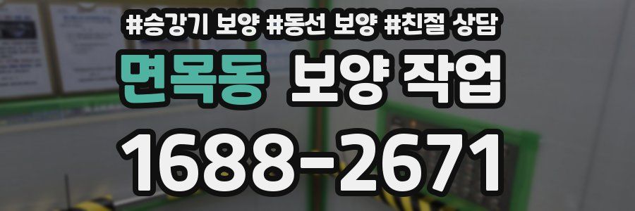 면목동 보양 작업