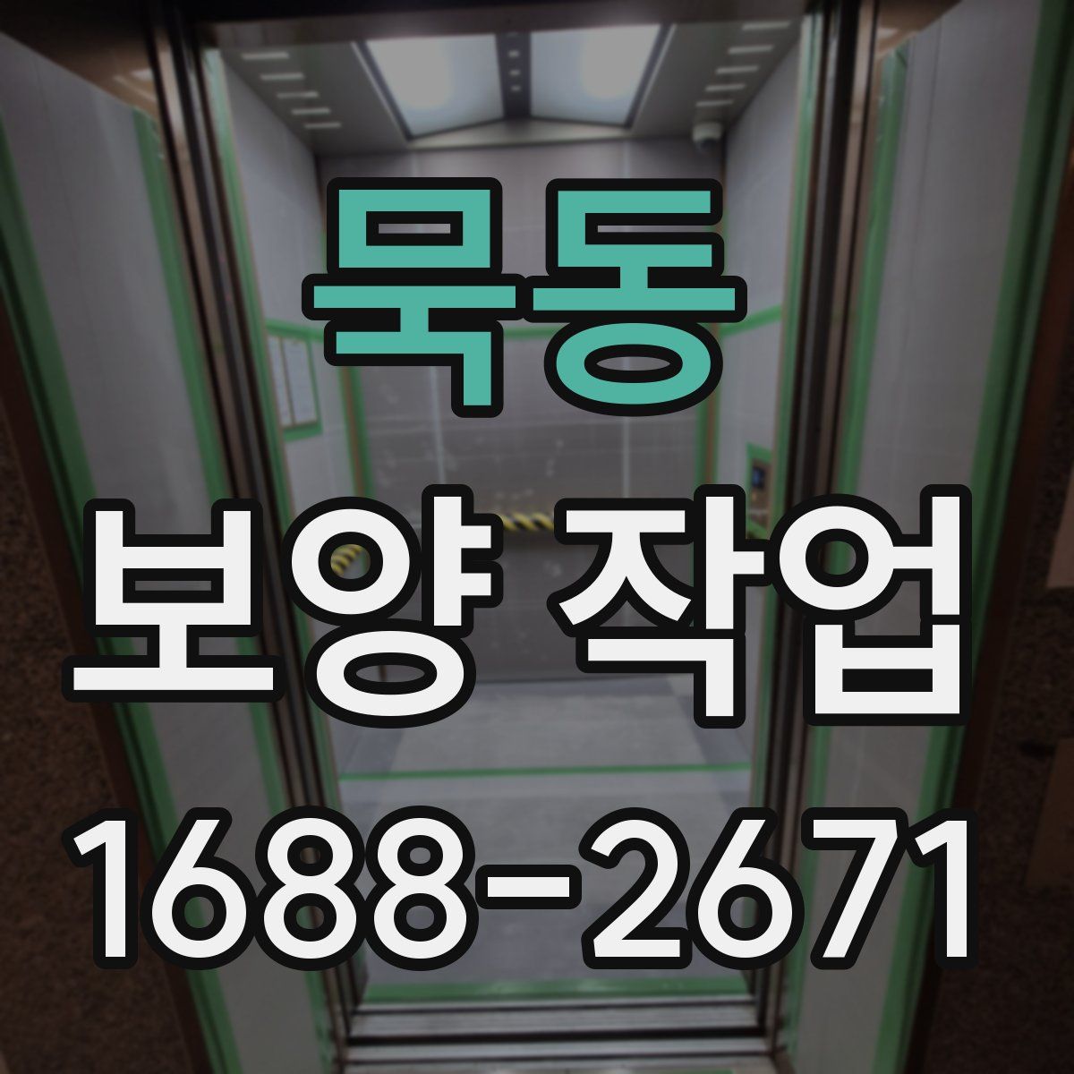 묵동 보양 작업