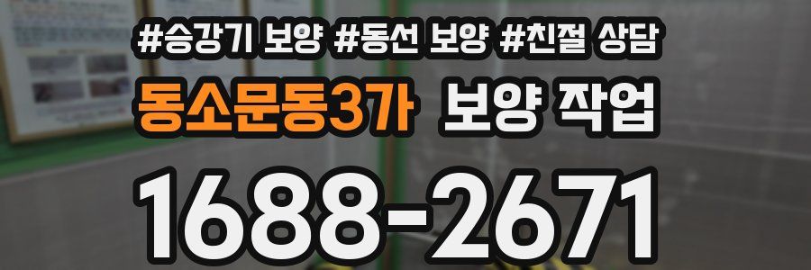 동소문동3가 보양 작업