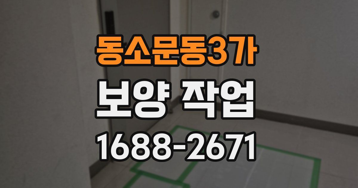 동소문동3가 보양 작업