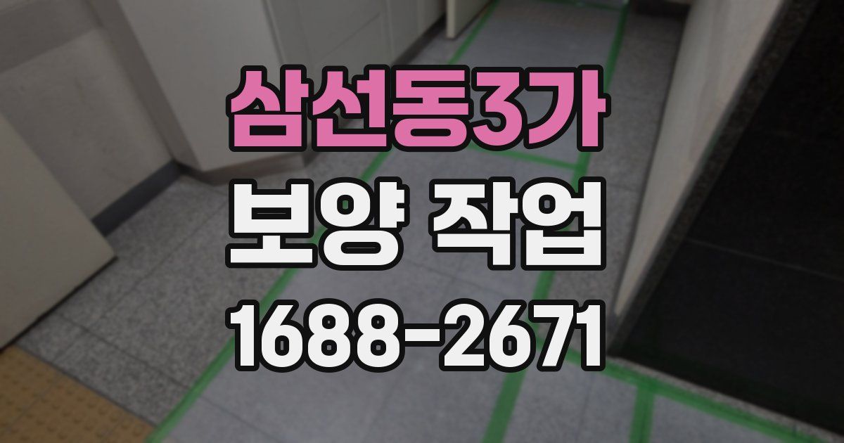 삼선동3가 보양 작업
