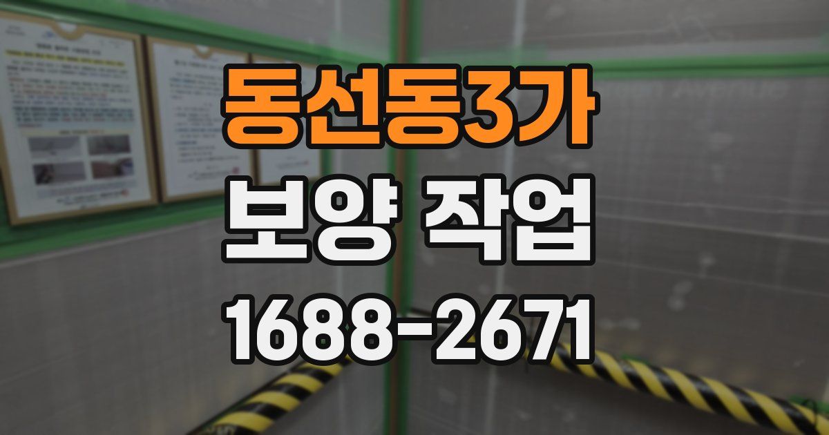 동선동3가 보양 작업