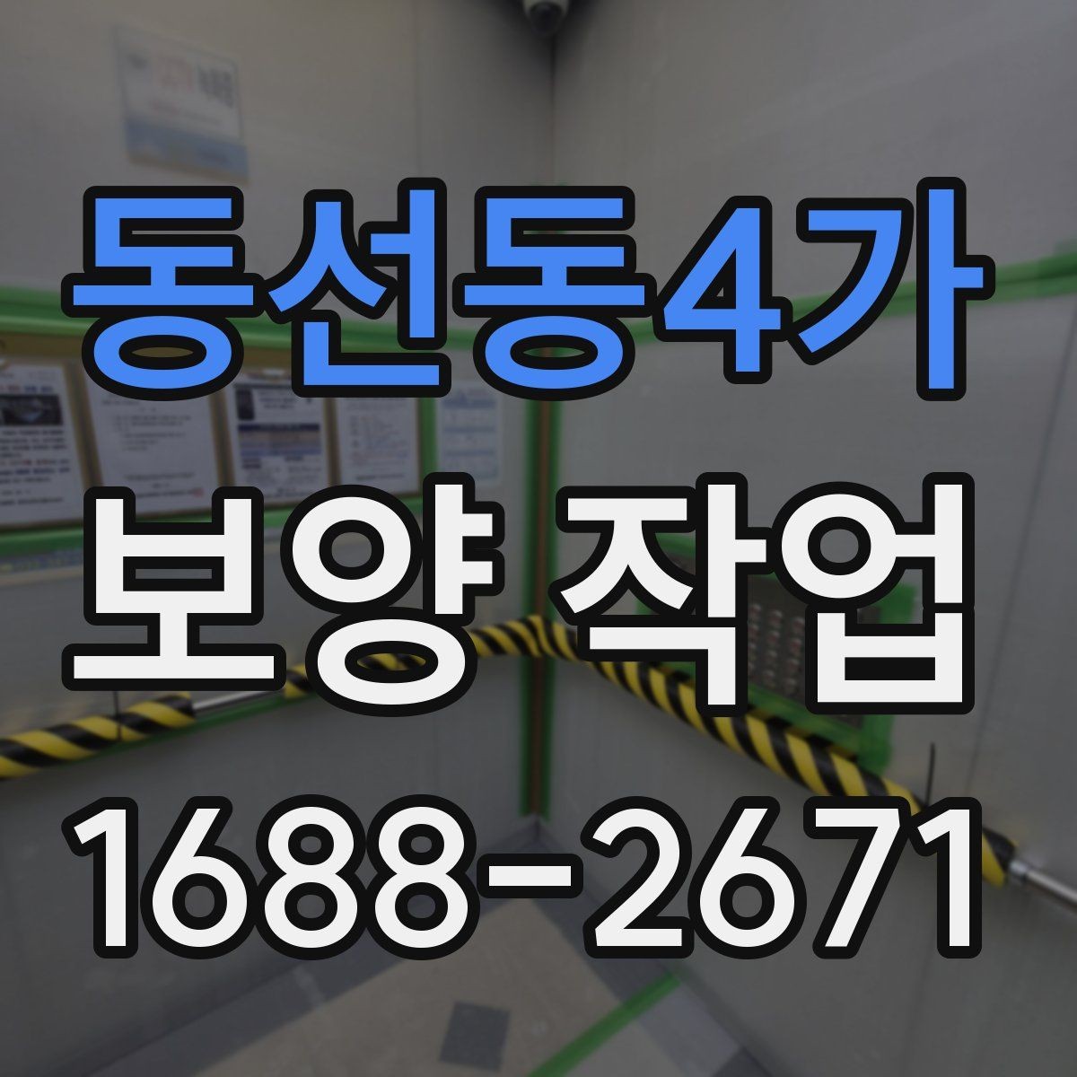 동선동4가 보양 작업 시공 품질과 관리 기준