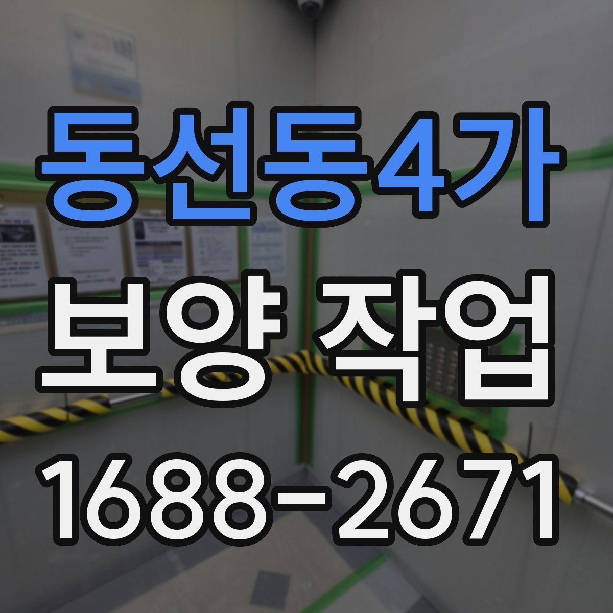 동선동4가 보양 작업