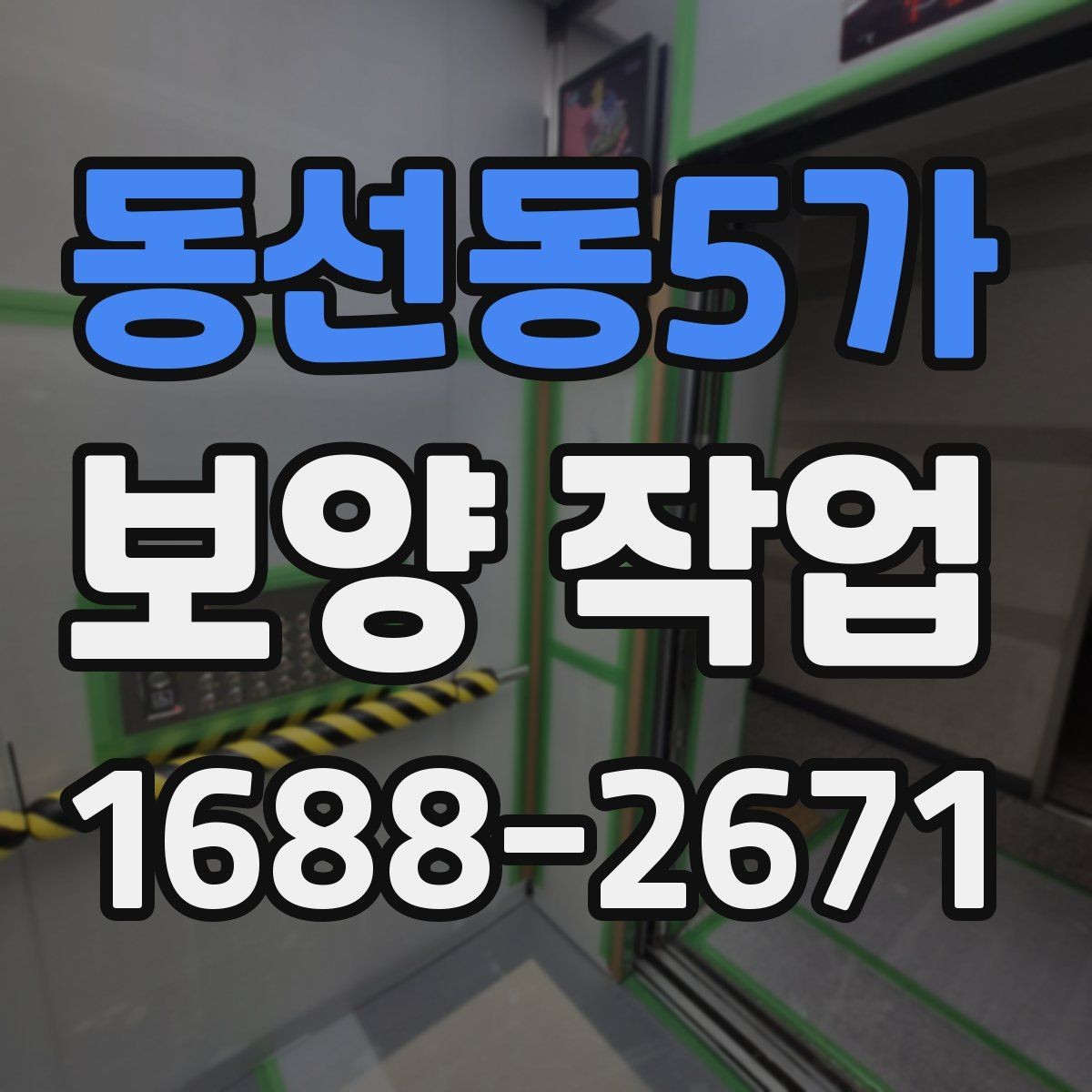동선동5가 보양 작업 관련 비용 산정 방식 이해하기