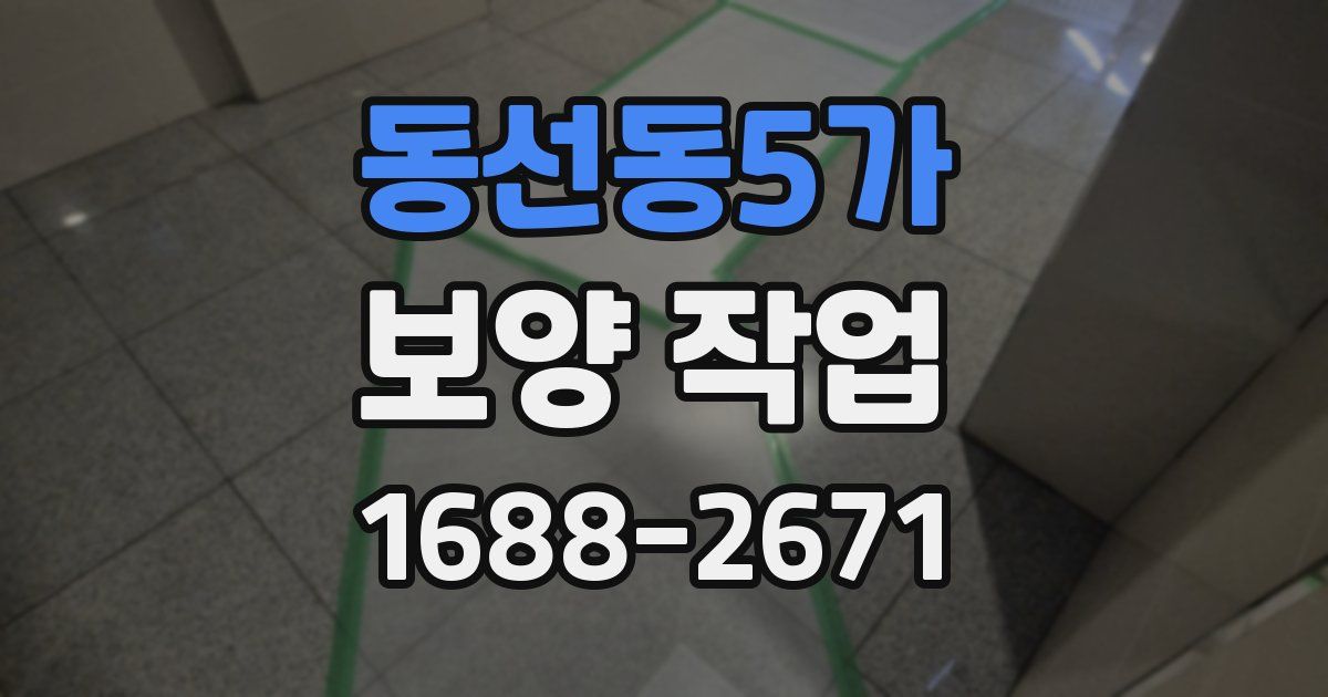 동선동5가 보양 작업